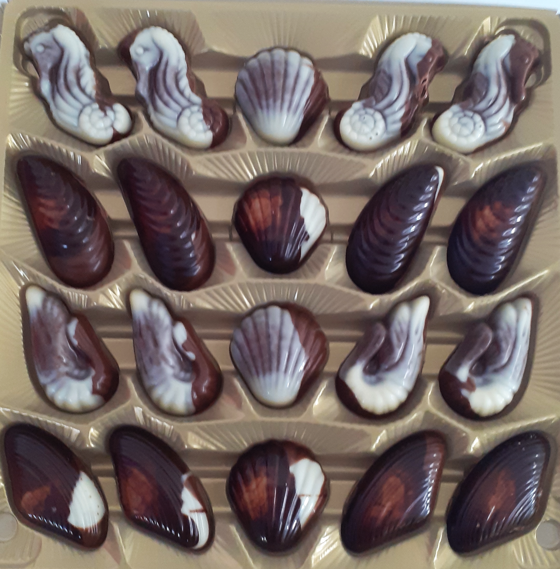 Classic Wheels Belgian Seashells 250g